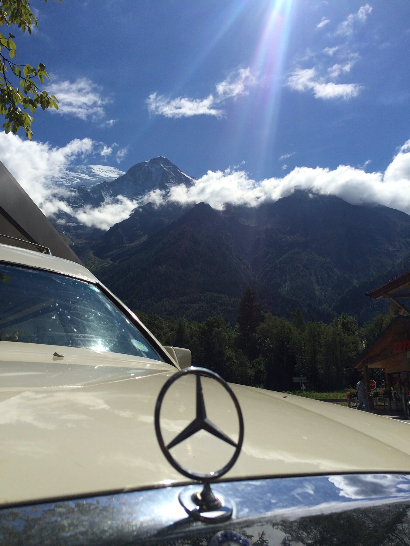Martha in Switzerland, Moderate Studio journal, 2015