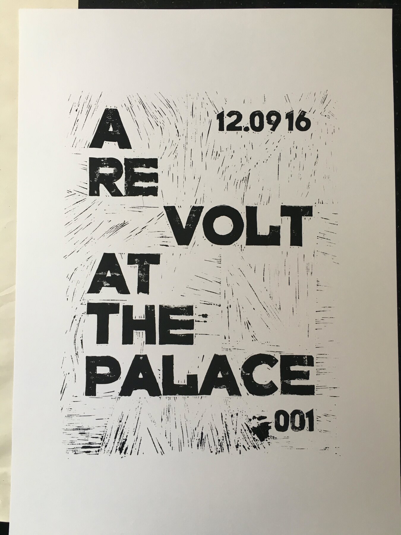 A Re Volt at the Palace, 001, Moderate Studio journal, 2016