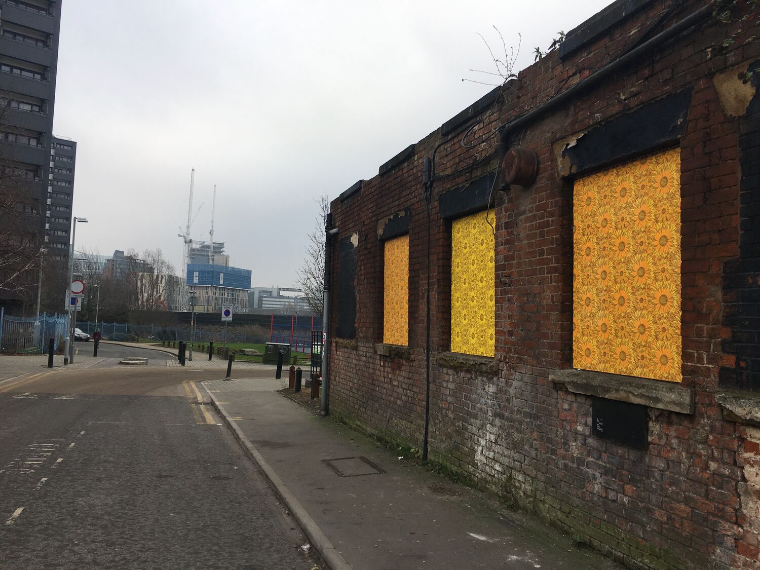The sunflower windows, Moderate Studio journal, 2017