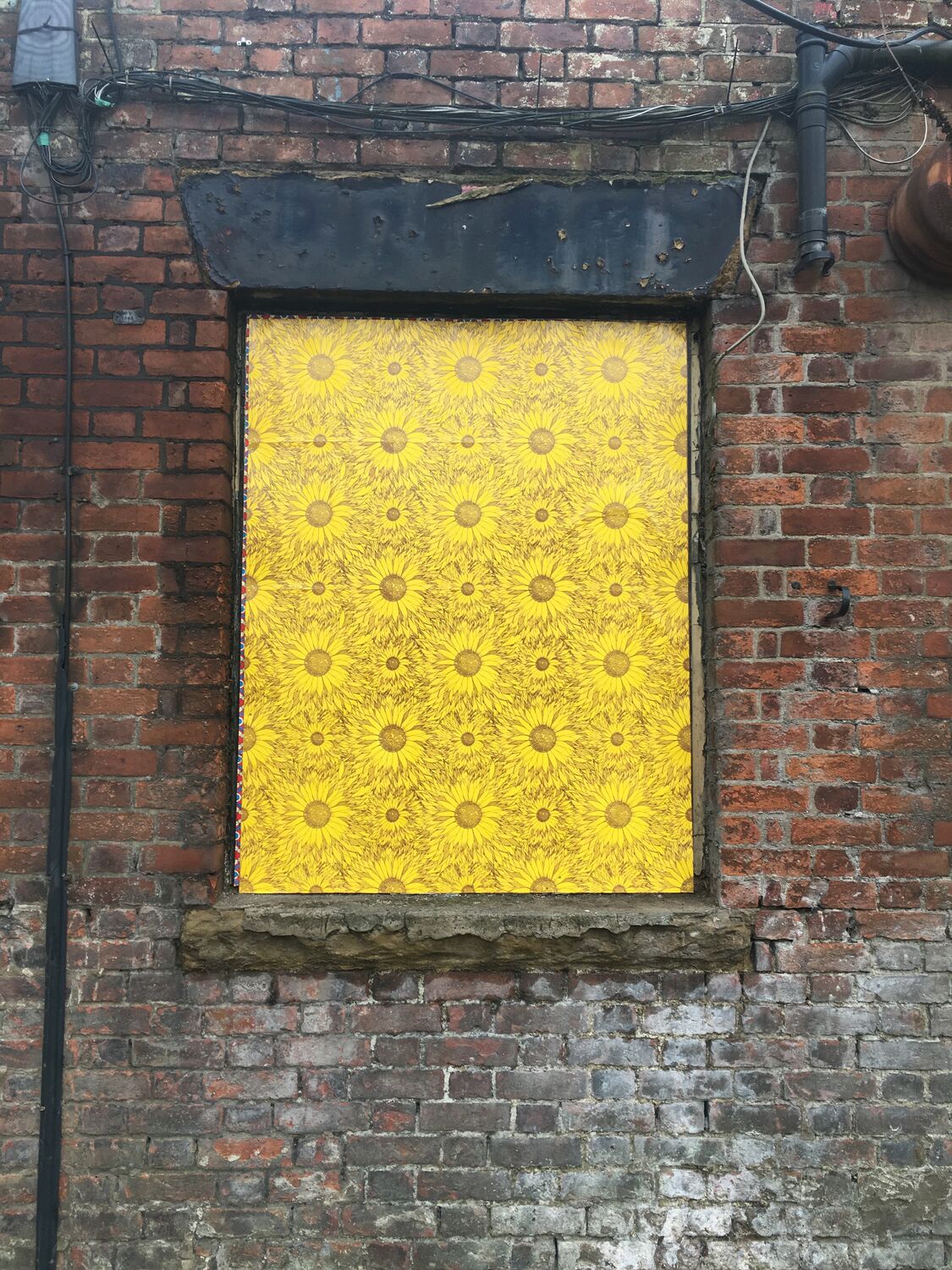 The sunflower windows, Moderate Studio journal, 2017