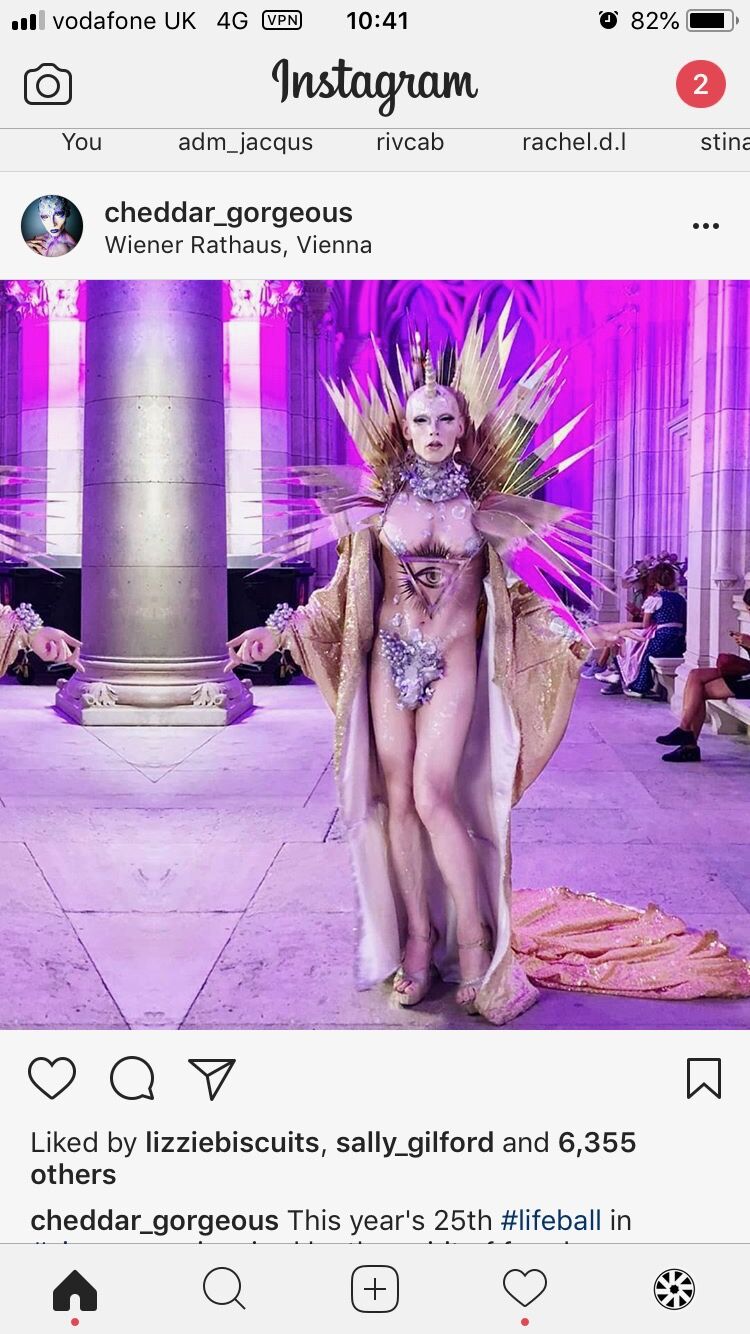 Cheddar Gorgeous at the Life Ball in Vienna wearing the finished look