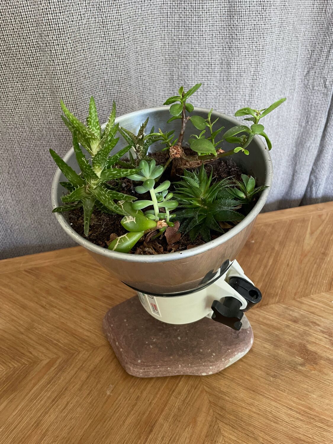 Lockdown plant pots