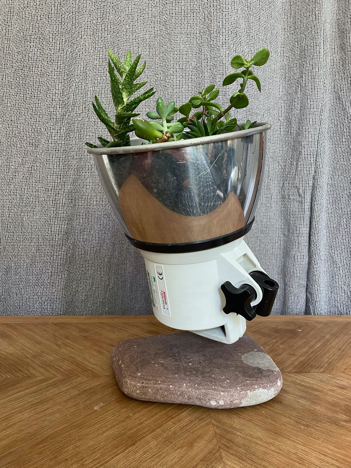 Lockdown plant pots, Moderate Studio journal, 2021