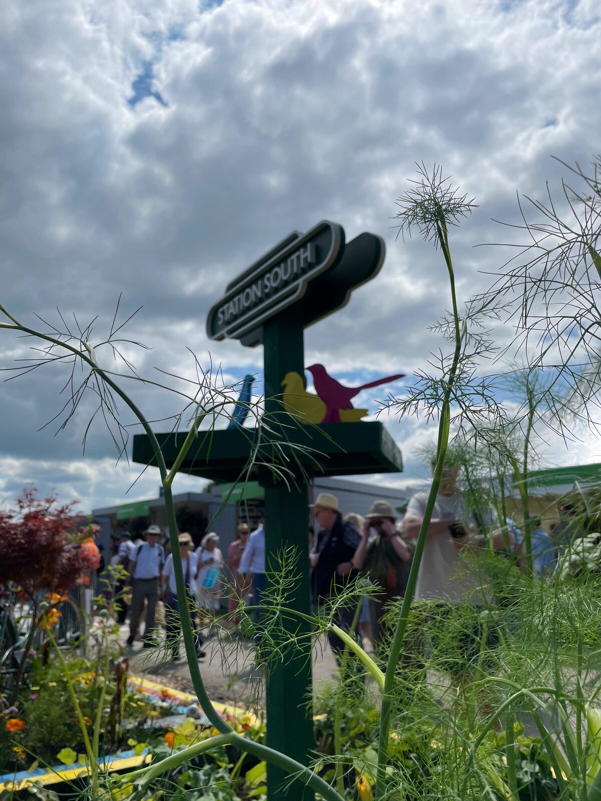 Station South garden at the RHS Flower Show, Tatton Park, 2024