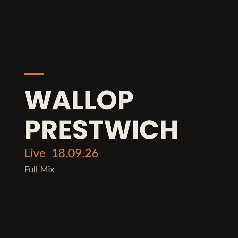Cover art for the Wallop, Prestwich DJ mix by Moderate Sounds.